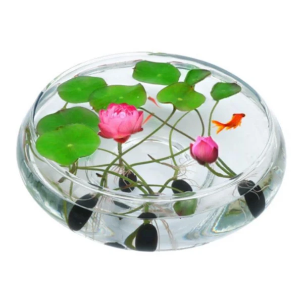 The Premium  Bonsai Lotus Flower